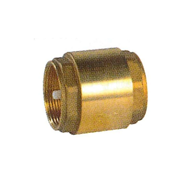 Clapet de retenues 303 2"