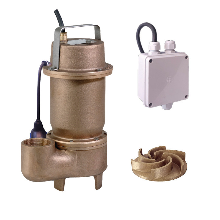 Pompe en bronze DGB 150/2/G50V M AUT + CD - Jetly 139420